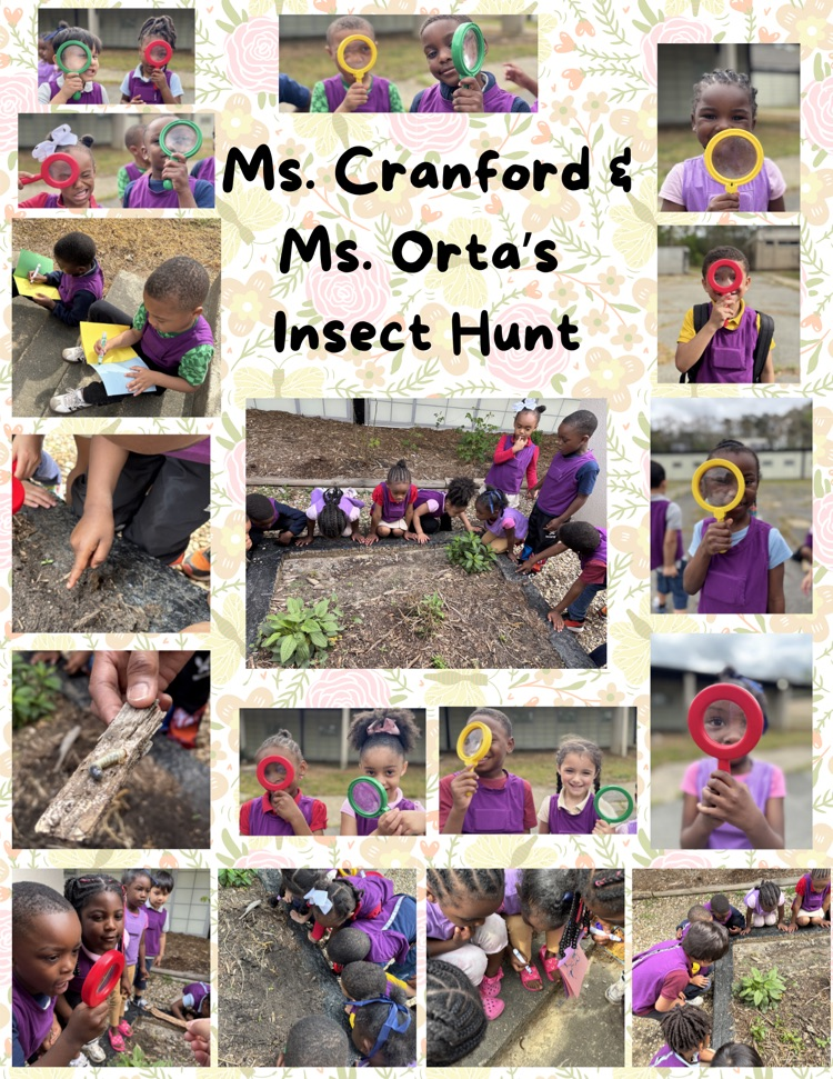 Ms. Cranford & Ms. Orta’s PK4 Class exploring time.