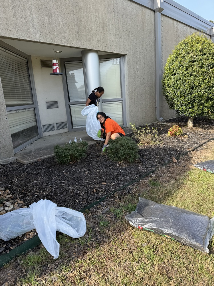 service Day 