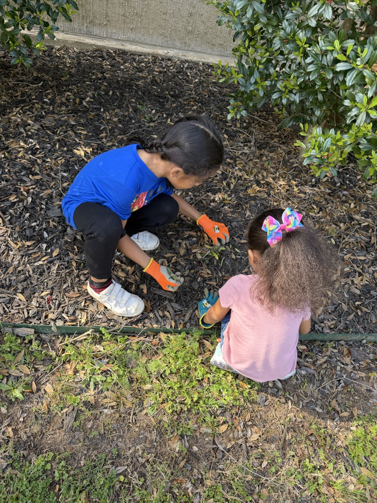 service Day 