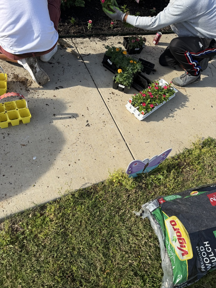 service Day 