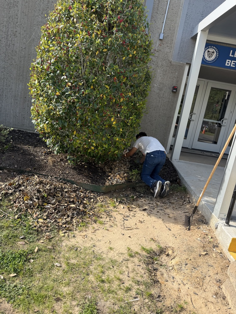 service Day 