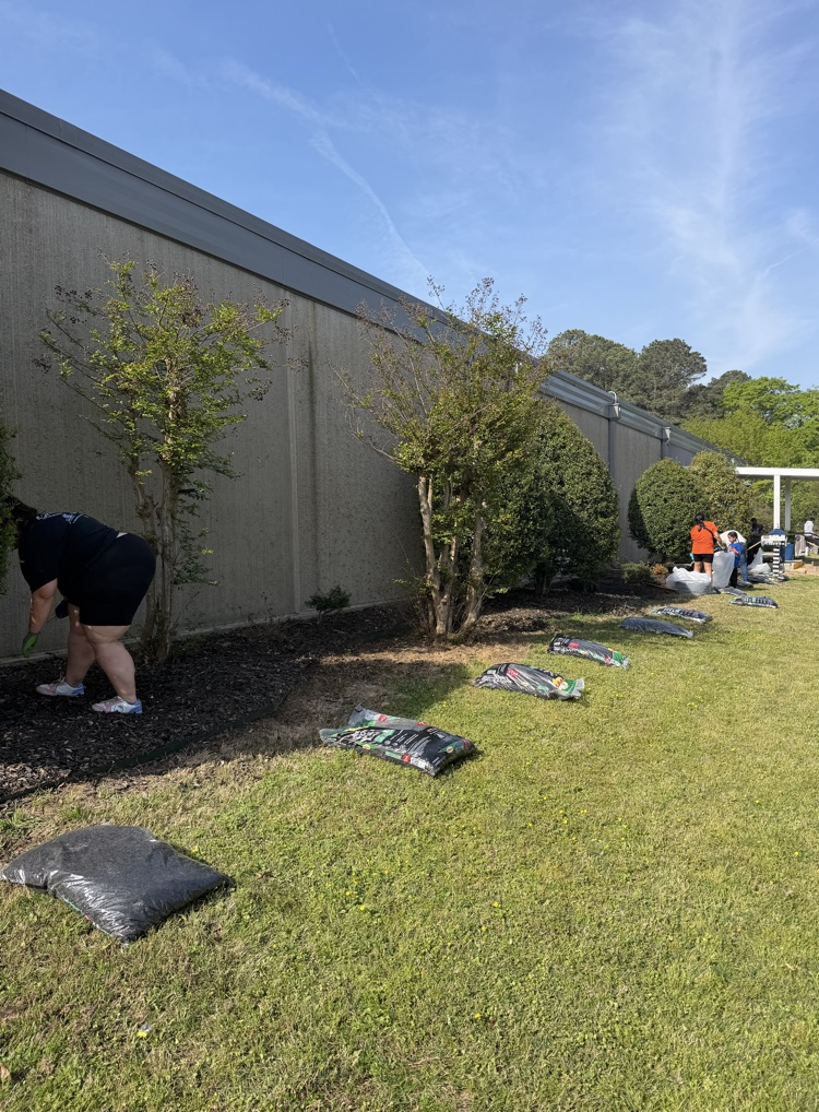service Day 