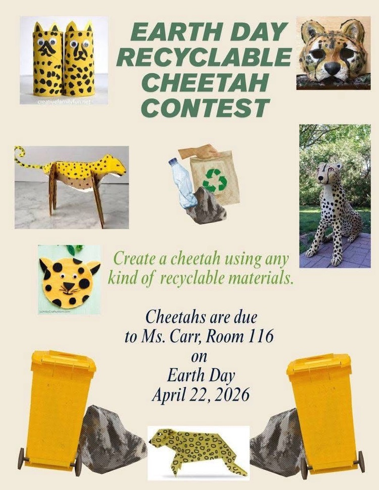 cheetah contest 