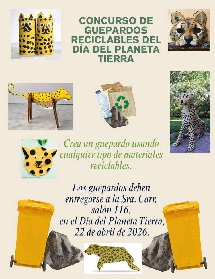 cheetah contest