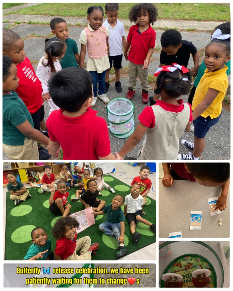 Butterfly 🦋 release celebration..we have been patiently waiting for them to change❤️