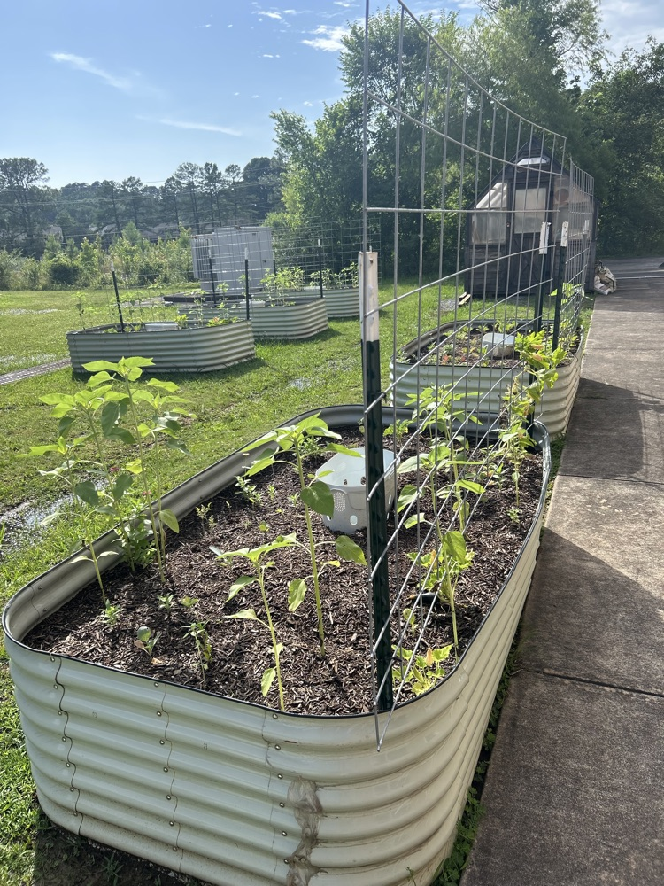 FHSA garden