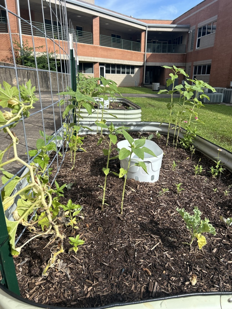 FHSA garden