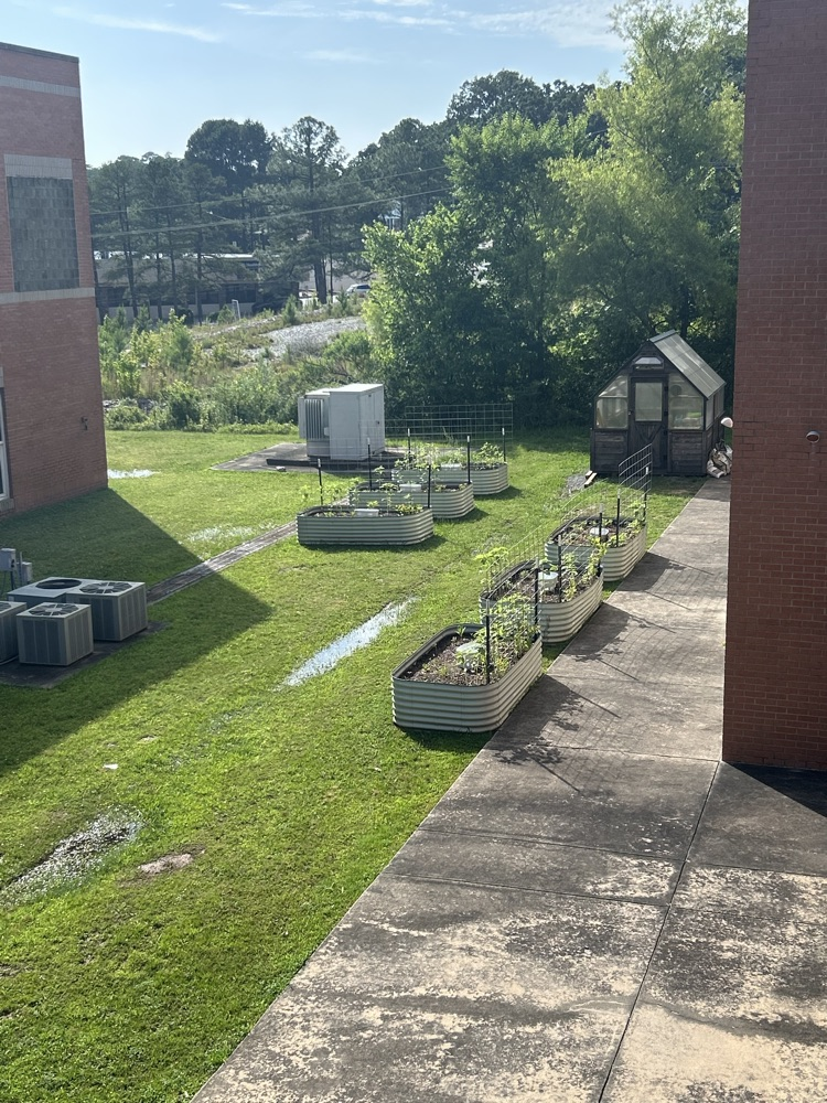 FHSA garden