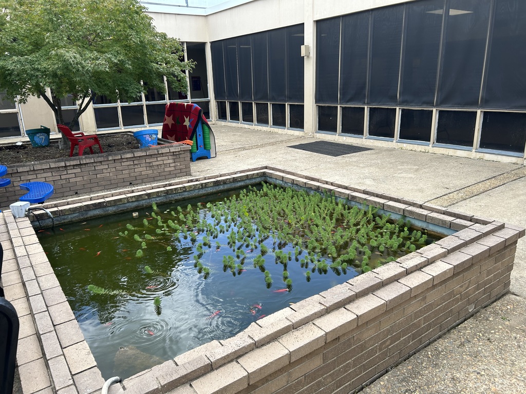 Courtyard 2