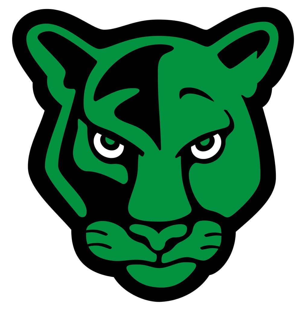 Black and Green Panther Head