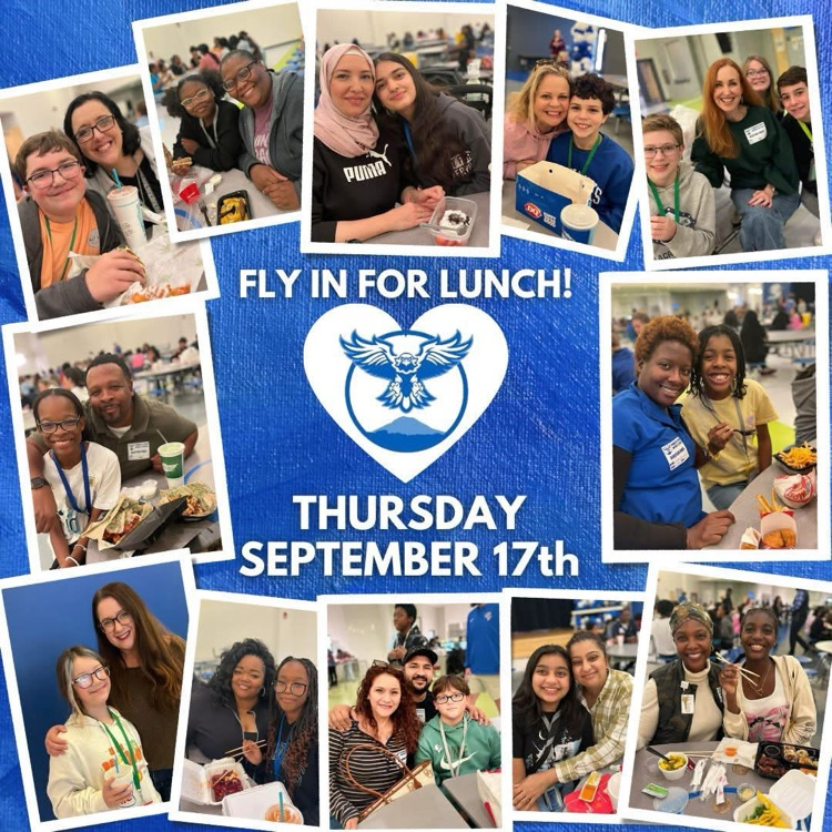 fly in for lunch 