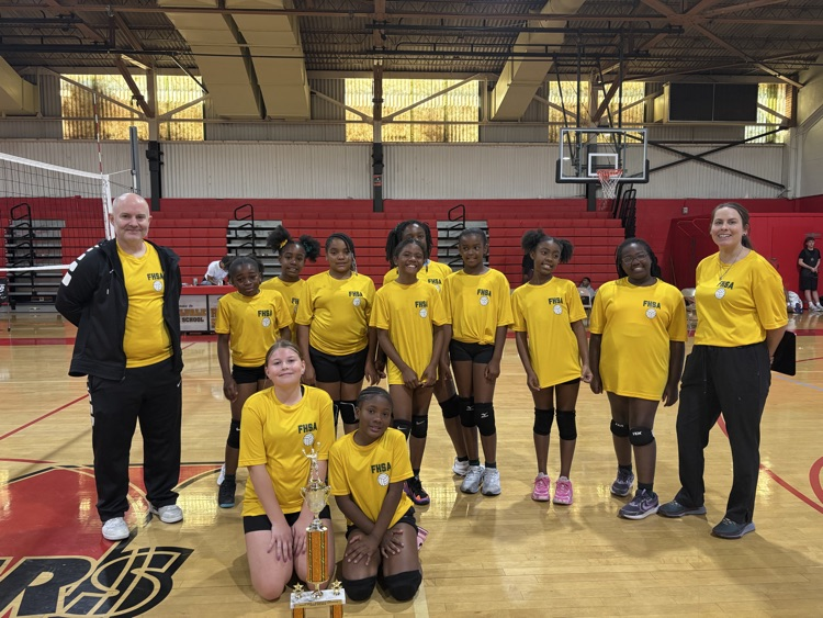 volleyball