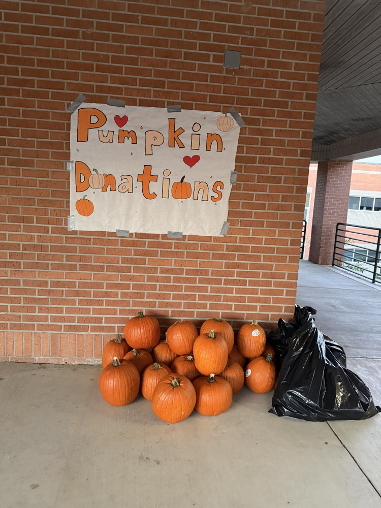 pumpkin launch