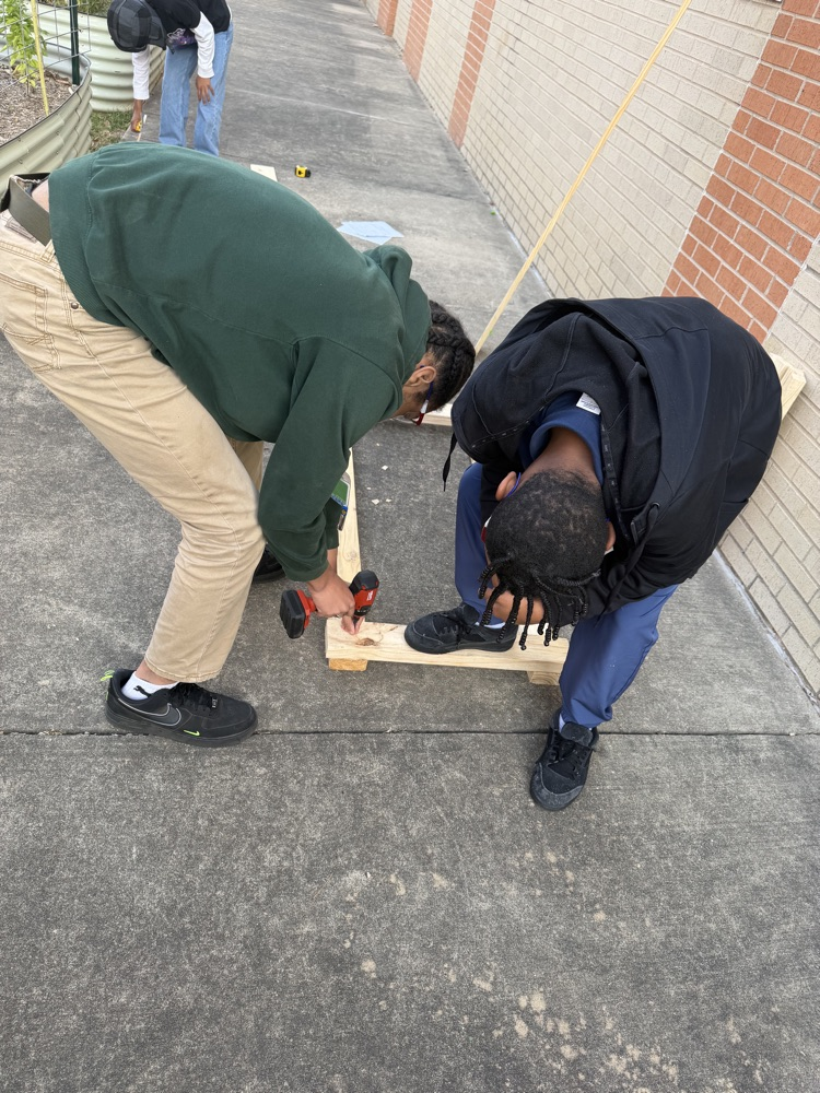 catapult