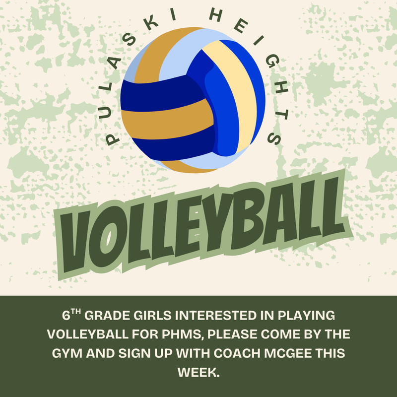 volleyball clinic flyer