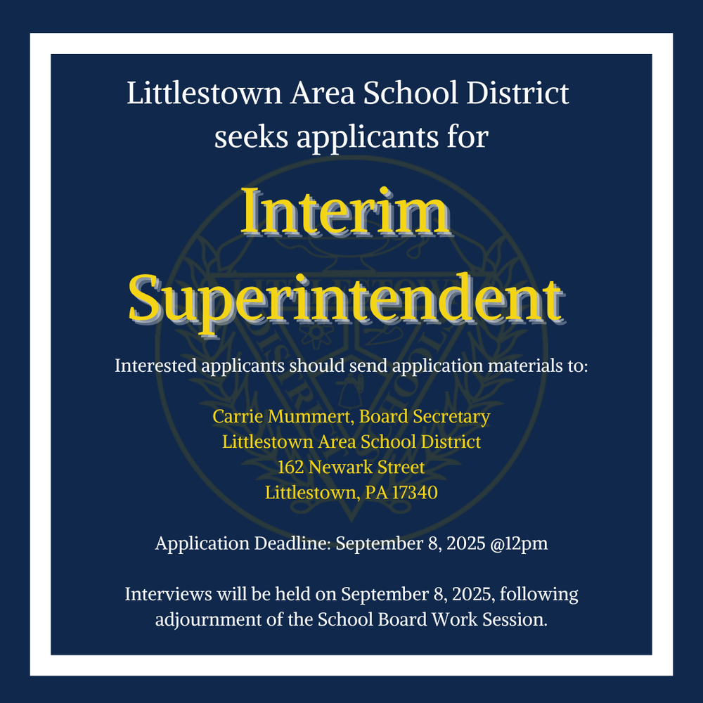 interim