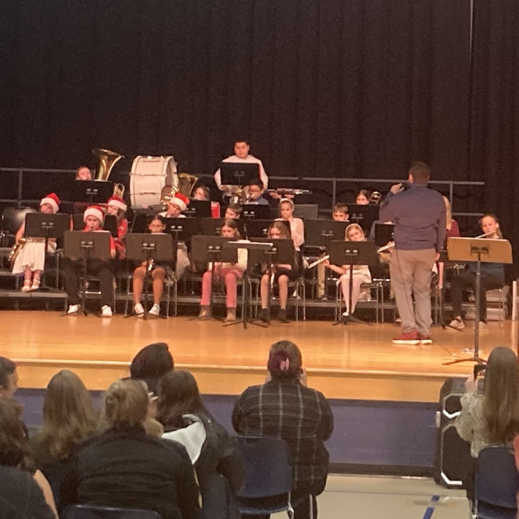 Celebrating the musical talent of ACES chorus and band students. The winter concert was a tremendous success!