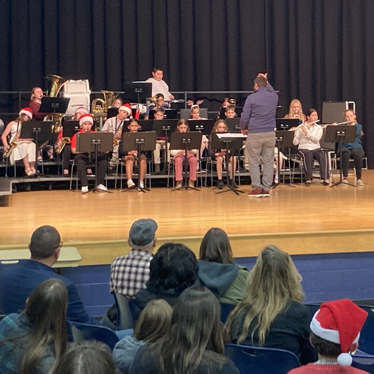 Celebrating the musical talent of ACES chorus and band students. The winter concert was a tremendous success!