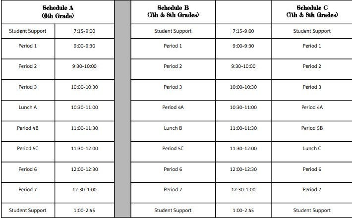 Virtual Day schedule
