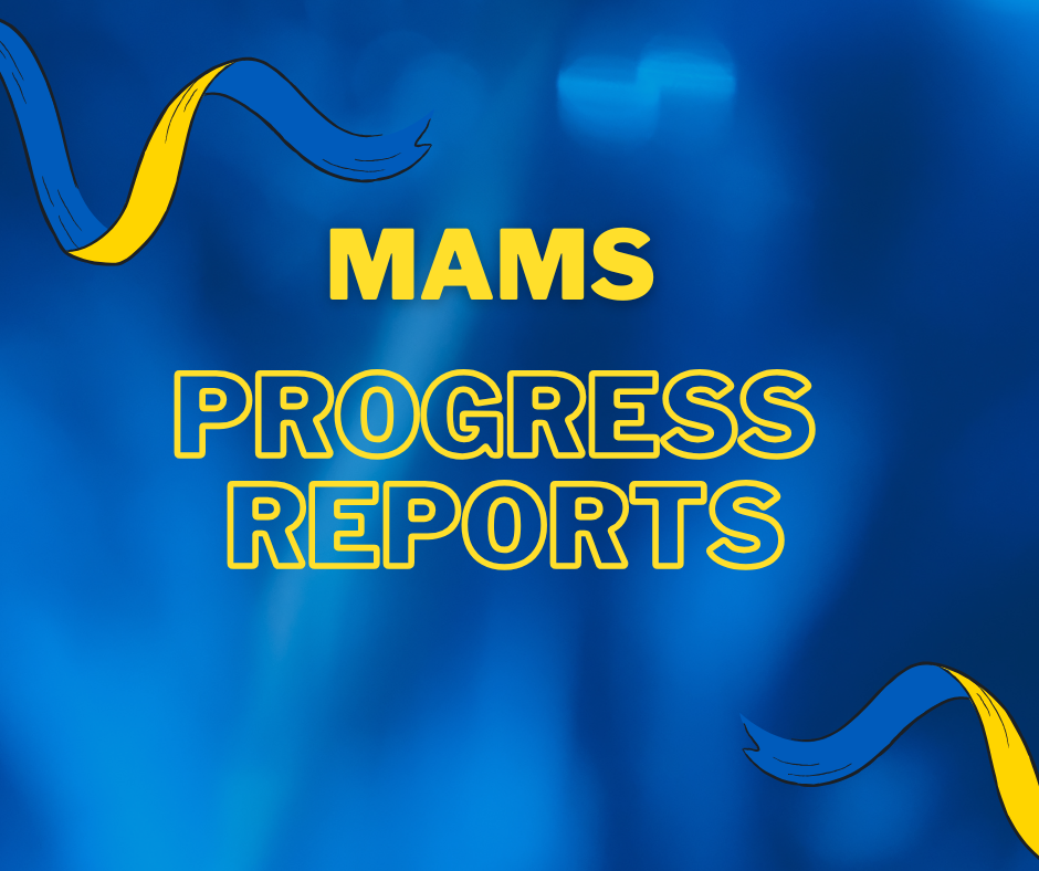 MAMS Progress Reports
