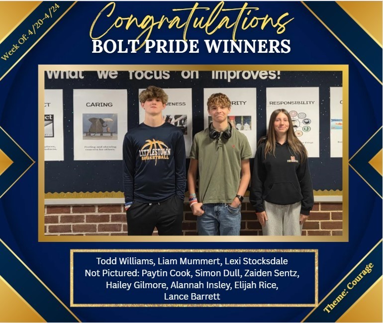 Bolt Pride winners
