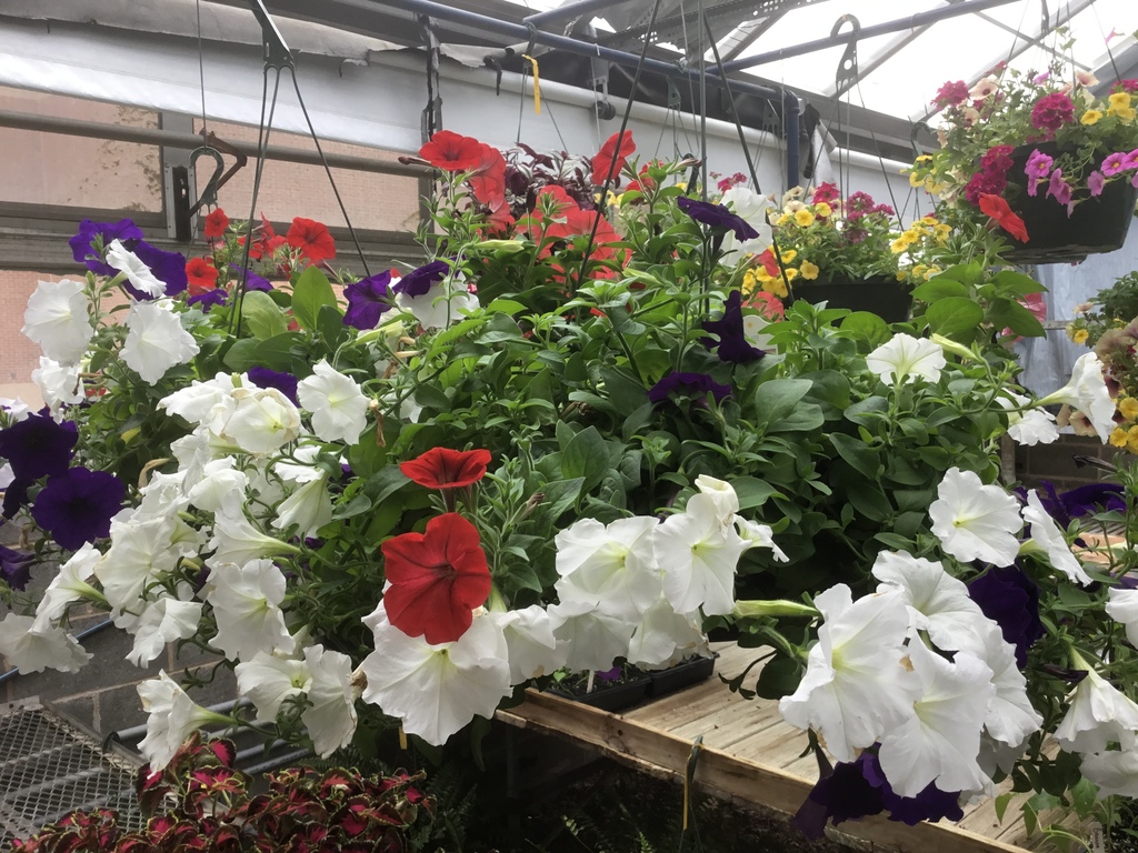 Horticulture