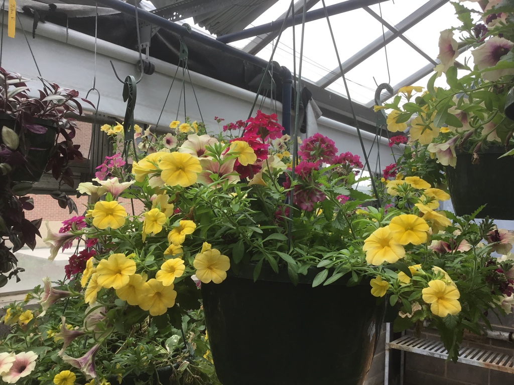 Horticulture