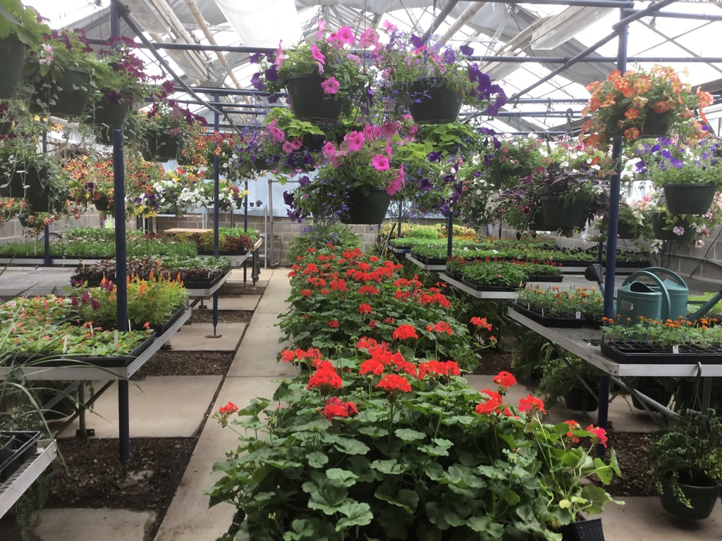 Horticulture