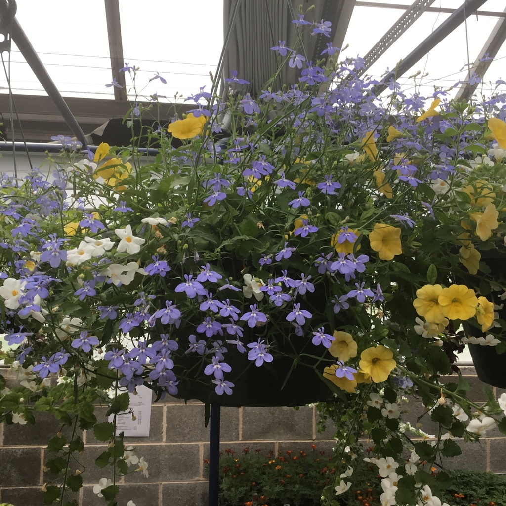 Horticulture