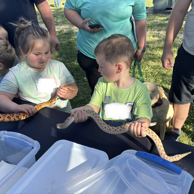 Summer fun at the June kindergarten night!