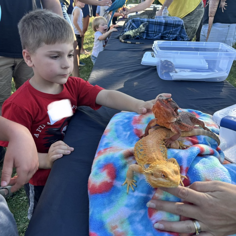 Summer fun at the June kindergarten night!