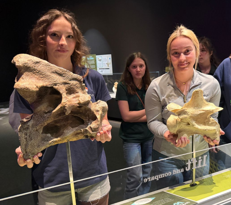 Two students hold large dinosaur bone replicas at a museum "lift and compare" exhibit station.