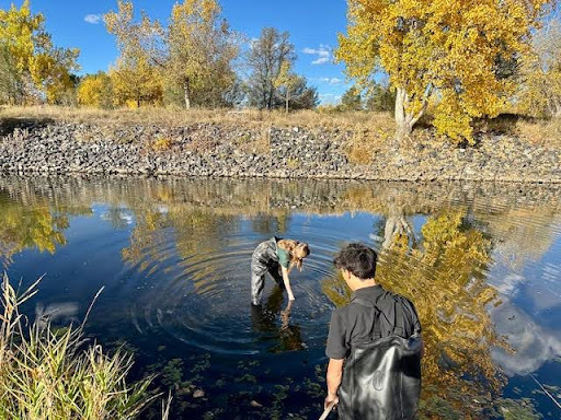 A male and female student stand in a body of water in a natural setting. The female student is bending down and collecting a water sample, while the male student observes her.