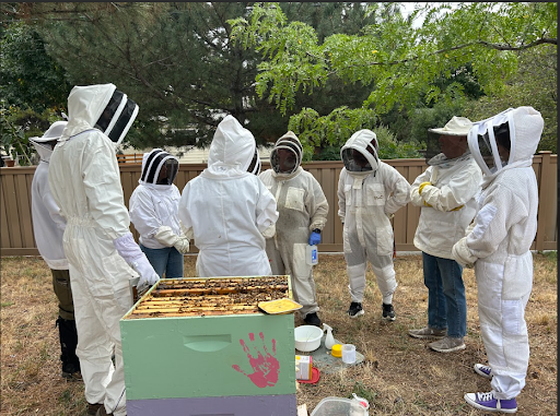 A group of seven people wearing white bee suits and veils are gathered around an open beehive box outdoors in a fenced yard. They appear to be in a discussion or learning session about beekeeping.