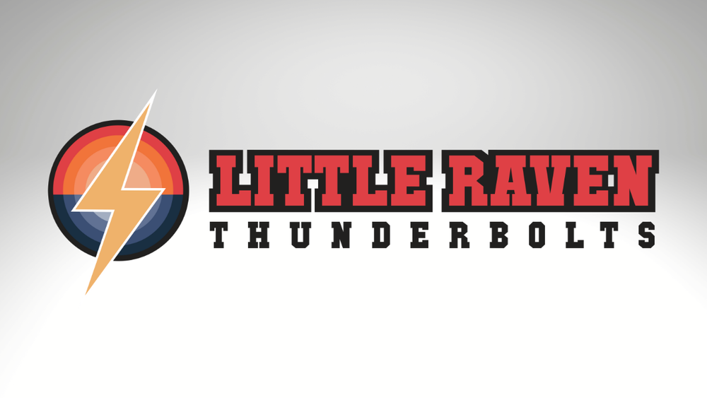 Little Raven logo on a gray-to-white gradient background