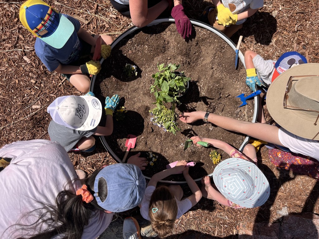 Spring Garden Clean up 2025