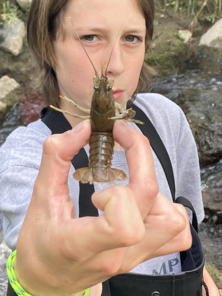 A young person with light skin and brown hair, wearing a gray T-shirt and black waders, holds a live crayfish toward the camera, making the crayfish the central focus. They stand beside a rocky stream, with greenery and water visible in the background. The person wears a neon green woven bracelet on their wrist.