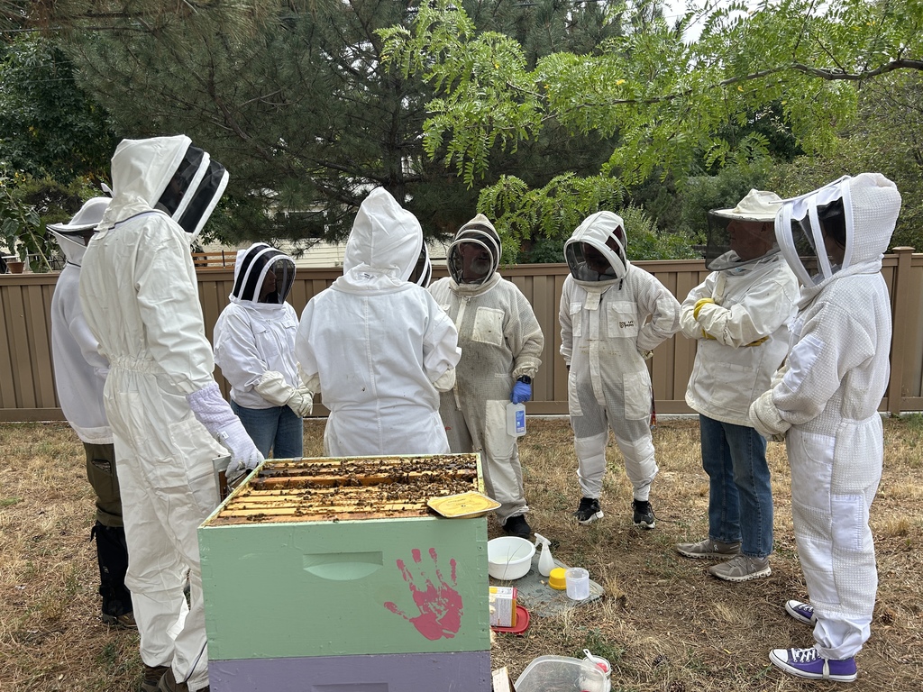 Group of people standing outdoors around an open beehive, all wearing white beekeeping suits with mesh face coverings. The hive box is painted pastel green and lavender with a pink handprint on the front. Various tools and containers are on the ground nearby. The group appears to be engaged in a demonstration or lesson, with trees and a brown fence in the background.