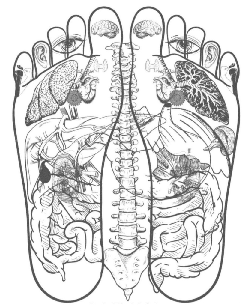 A black-and-white anatomical foot reflexology chart showing the soles of two feet side by side. The chart illustrates internal human organs—such as the brain, lungs, heart, intestines, and spine—mapped onto corresponding areas of the feet. Eyes, ears, and other body parts are also drawn near the toes. The diagram suggests connections between foot zones and body systems.