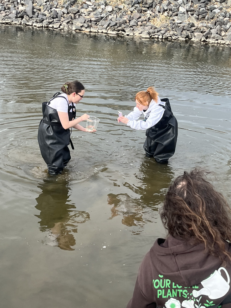 Two students wearing black chest waders stand in a shallow river, one holding a clear container of water while the other takes a photo with a smartphone. A third student observes from the shore.
