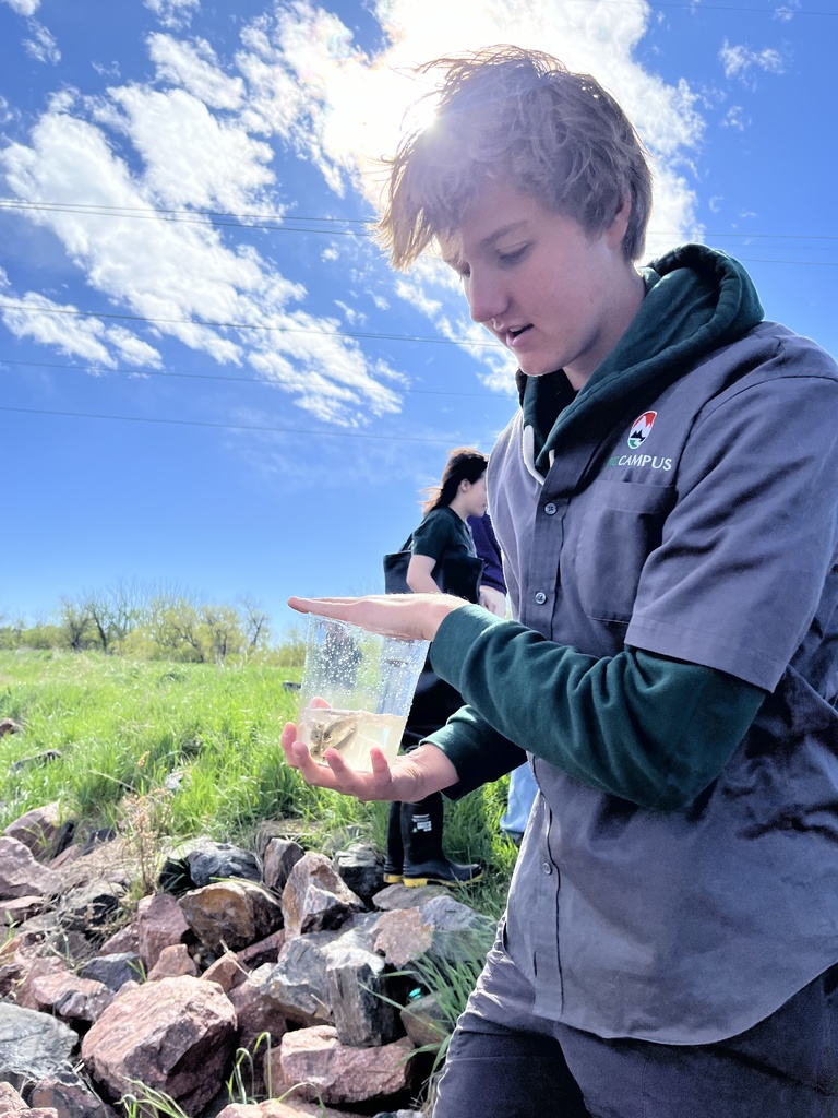 A student in an EPIC Campus shirt holds a clear plastic container with a small fish or aquatic creature inside, standing on a rocky bank with other students in the background. The sun shines brightly in a clear sky.