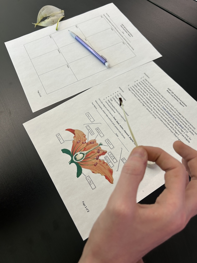 A close-up of a student’s hand holding part of a flower during a biology lab activity. On the table are two worksheets—one with a labeled diagram of a flower and another with a chart for identifying parts. A light purple mechanical pencil and a dissected petal lie nearby on the black tabletop.