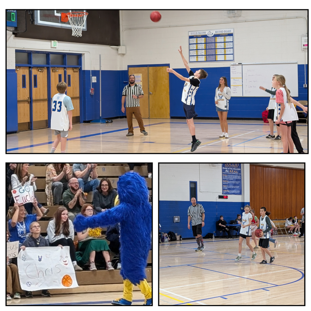 Top photo, student shooting a basketball from the free throw line while other students watch, bottom left photo of the school Falcon mascot and students in the stands holding up signs encouraging the baketball players. bottom right photo a student dribbling the basketball down the court with other players near by