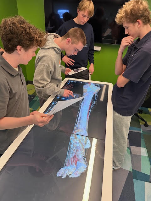 Four high school students stand around a large white Anatomage table displaying a detailed 3D image of a human lower leg and foot with visible muscles, bones, and blood vessels. The students, dressed in casual school attire, hold worksheets and point to the interactive screen while discussing the anatomy. The classroom features green accent walls, patterned carpet tiles in shades of blue and green, and a mounted flat-screen monitor in the background.