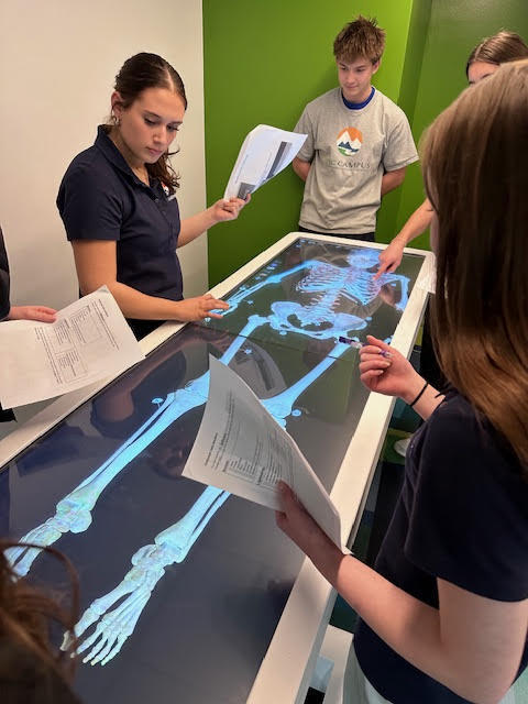 Five high school students, diverse in appearance, stand around an Anatomage table displaying a full digital human skeleton. Students hold printed lab sheets and point to bones on the large touchscreen. The bright classroom has green accent walls and overhead lighting, creating a focused, hands-on science learning environment.