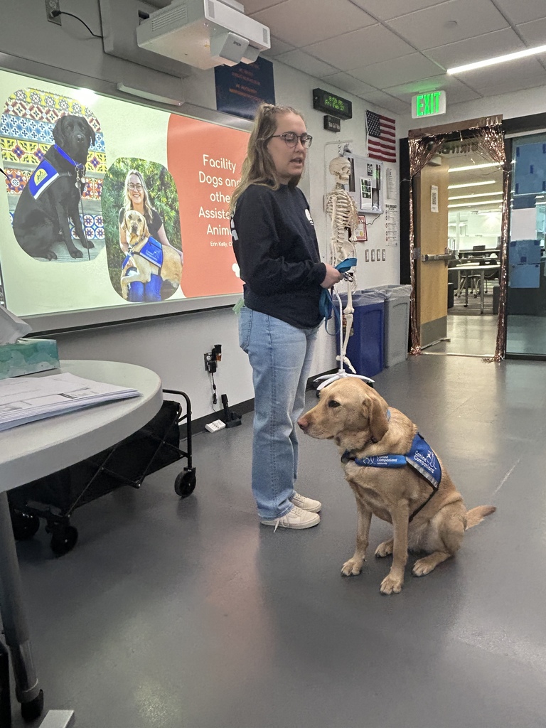 A young adult presenter stands in a classroom next to a seated yellow Labrador facility dog wearing a blue “Canine Companions” vest. Behind them, a projected slide reads “Facility Dogs and other Assistance Animals” and shows photos of service dogs. A model skeleton, American flag, and classroom door are visible nearby.