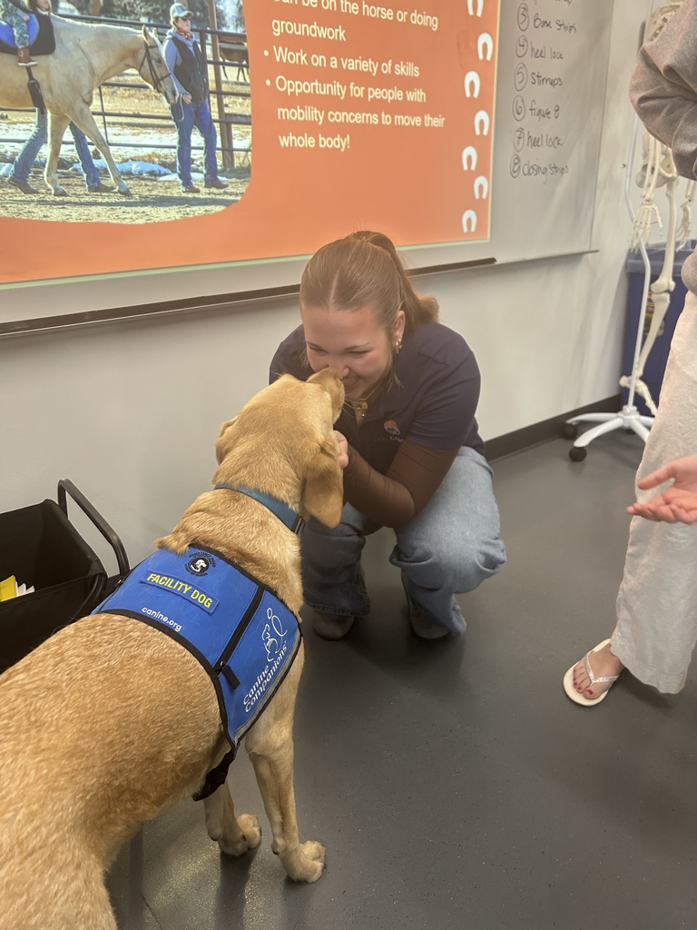 A student kneels and smiles as a yellow Labrador facility dog wearing a blue “Facility Dog – Canine Companions” vest gently nuzzles her face. A presentation slide about equine or therapeutic programs is projected behind them, and classroom items including a rolling cart and skeleton model are visible.