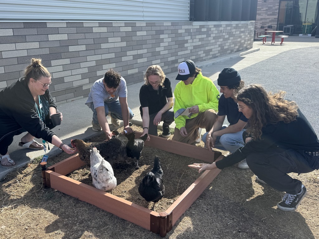 Group of diverse high school students and an adult kneel around a raised garden bed outside a school, gently interacting with several chickens in a sunny courtyard.