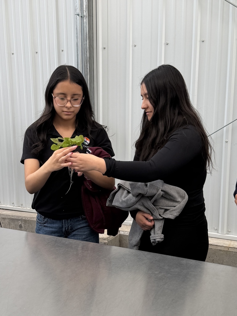 Two high school students stand outdoors examining a small plant with visible roots, holding it carefully while discussing it.