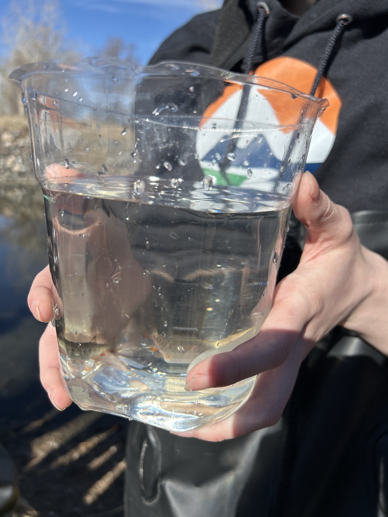 Close-up of a student’s hands holding a clear plastic container filled with water. Several small fish swim inside. The student wears a dark hoodie with an EPIC Campus logo partially visible in the background.